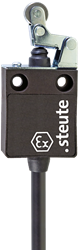 Ex 13 WHK 1Ö/1S - 2m | Position switch, Ex