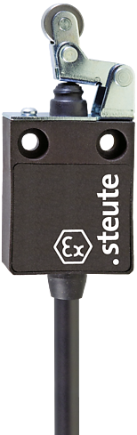 Ex 13 WHK 1Ö/1S - 2m | Position switch, Ex