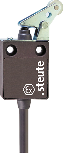 Ex 13 WPH 1Ö/1S - 5m | Position switch with safety function, Ex
