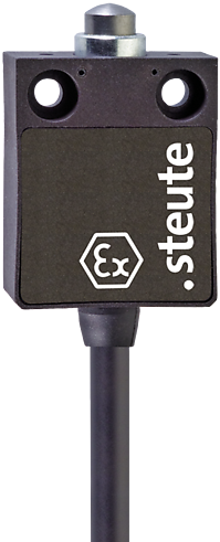 Ex 13 1Ö/1S - 2m | Position switch with safety function, Ex