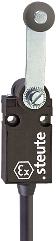 Ex 14 DL 1Ö/1S - 5m | Position switch with safety function, Ex