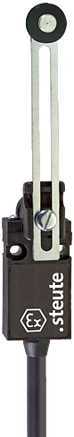 ExM 14 DS - 5m | Position switch, Ex