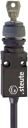 Ex 14 RSSA 13 - 1m | Position switch, Ex