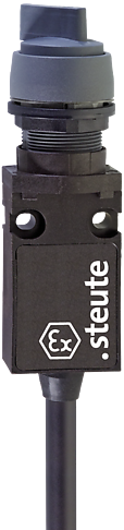 Ex 14 RWA I - II - 1m | Position switch, Ex