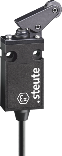 Ex 14 WPH 2Ö - 5m / -40°C | Position switch with safety function
