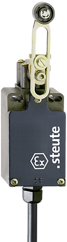 Ex T 356 4V7H-1Ö/1S - 2m | Position switch with safety function, Ex
