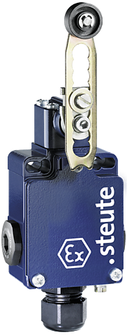 Ex 355 4V7H 1Ö/1S | Position switch with safety function, Ex