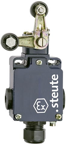 Ex 355 3V4D 1Ö/1S | Position switch with safety function, Ex