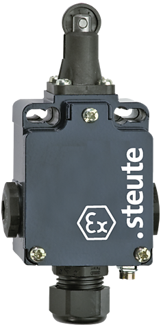 Ex 355 R 1S/1Ö UE | Position switch with safety function, Ex