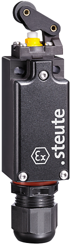 Ex EM 97 WH-11 -60°C | Position switch, Ex