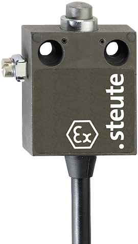 Ex 12 - 2m | Position switch, Ex