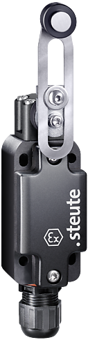 Ex ES 99 DS-02 -60°C X | Position switch, Ex