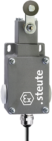 Ex 61 D 1Ö/1S - 3m | Position switch, Ex