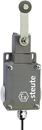 ExM 61 DL - 3m | Position switch, Ex
