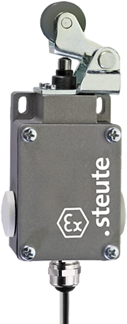 Ex 61 WH 1Ö/1S - 3m | Position switch, Ex