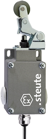 Ex 61 WHK 1Ö/1S - 3m | Position switch, Ex