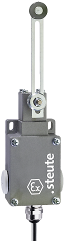 Ex 61 DS 1Ö/1S - 3m | Position switch, Ex