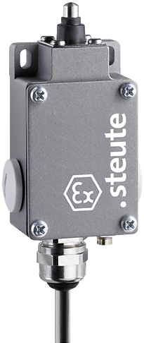 Ex 61 W 1Ö/1S 3m Ex14 Einsatz | Position switch, Ex