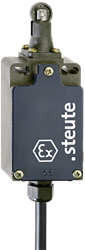 Ex T 356 R-1Ö/1S - 2m | Position switch with safety function, Ex