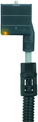 VAAG22-230.5-5/P00 | Valve connector, 3p, female 0°, 5 m, PVC, 230VAC, type A, Varistor